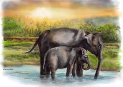 Olifanten, moeder en jong Sri Lanka